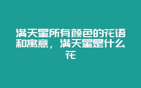 满天星所有颜色的花语和寓意，满天星是什么花-会东网