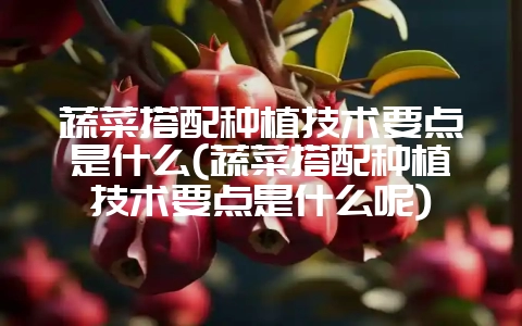 蔬菜搭配种植技术要点是什么(蔬菜搭配种植技术要点是什么呢)-会东网