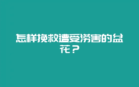 怎样挽救遭受涝害的盆花？-会东网
