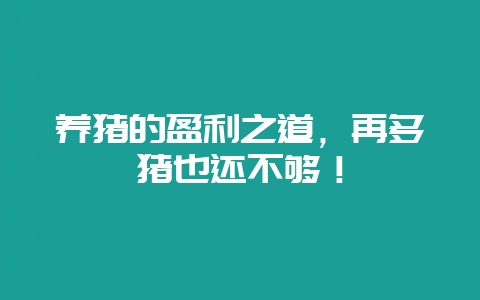 养猪的盈利之道，再多猪也还不够！-会东网