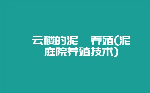 蔡云楼的泥鳅养殖(泥鳅庭院养殖技术)-会东网