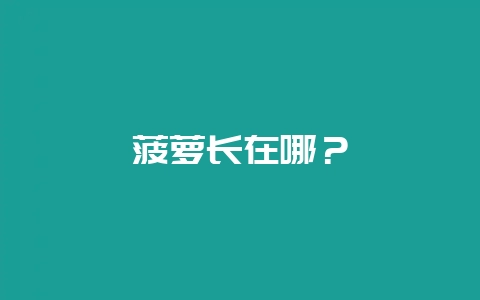 菠萝长在哪?-会东网