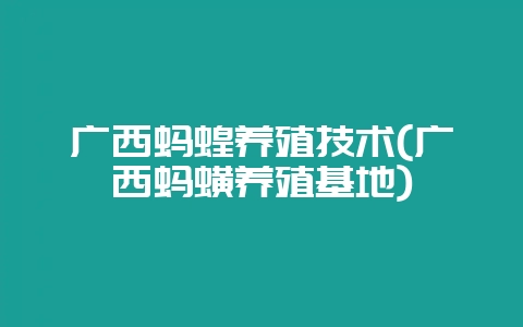 广西蚂蝗养殖技术(广西蚂蟥养殖基地)-会东网
