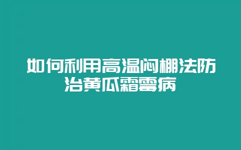 如何利用高温闷棚法防治黄瓜霜霉病-会东网