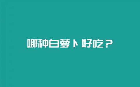 哪种白萝卜好吃？-会东网