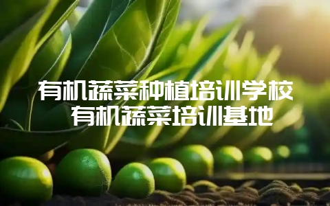 有机蔬菜种植培训学校 有机蔬菜培训基地-会东网