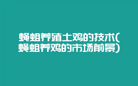 蝇蛆养殖土鸡的技术(蝇蛆养鸡的市场前景)-会东网