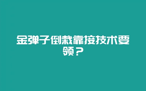 金弹子倒栽靠接技术要领？-会东网