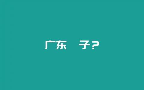 广东粽子?-会东网