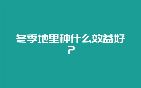 冬季地里种什么效益好？-会东网