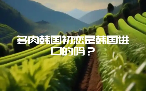 多肉韩国初恋是韩国进口的吗？-会东网