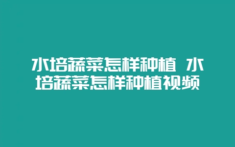 水培蔬菜怎样种植 水培蔬菜怎样种植视频-会东网