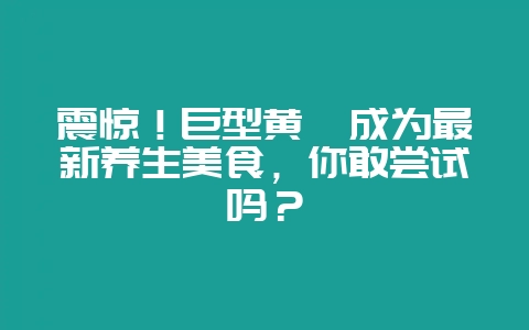 震惊!巨型黄鳝成为最新养生美食,你敢尝试吗?-会东网