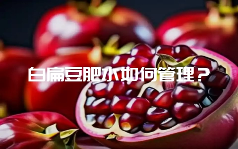 白扁豆肥水如何管理？-会东网