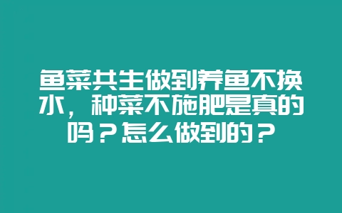鱼菜共生做到养鱼不换水,种菜不施肥是真的吗?怎么做到的?-会东网