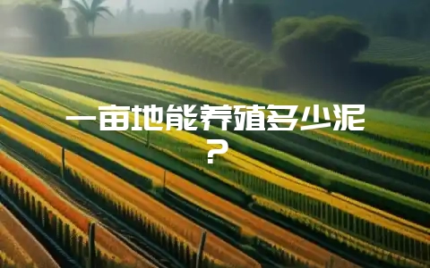 一亩地能养殖多少泥鳅?-会东网