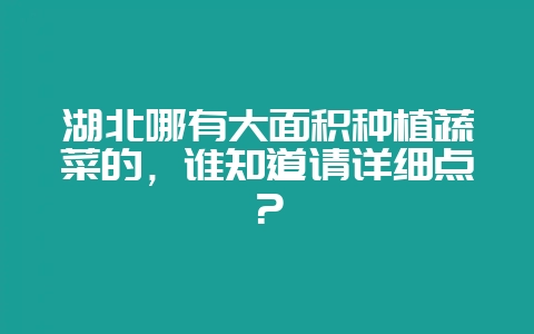 湖北哪有大面积种植蔬菜的，谁知道请详细点？-会东网