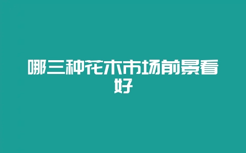 哪三种花木市场前景看好-会东网