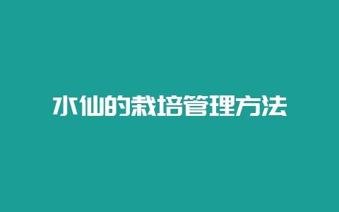 水仙的栽培管理方法-会东网