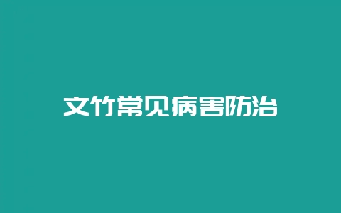 文竹常见病害防治-会东网