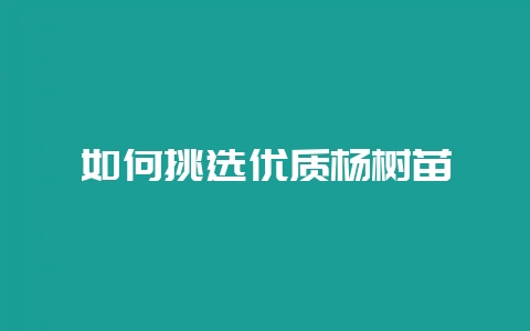 如何挑选优质杨树苗-会东网