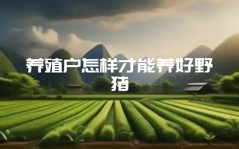 养殖户怎样才能养好野猪-会东网