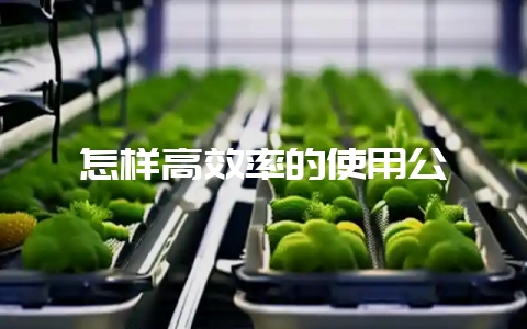 怎样高效率的使用公貉-会东网