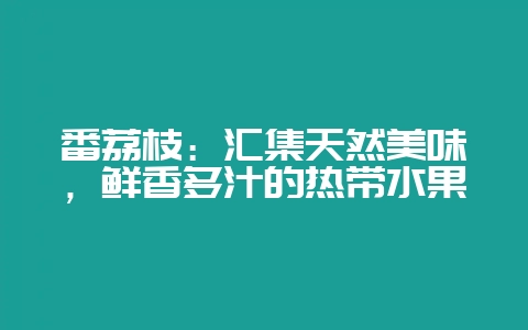 番荔枝:汇集天然美味,鲜香多汁的热带水果-会东网