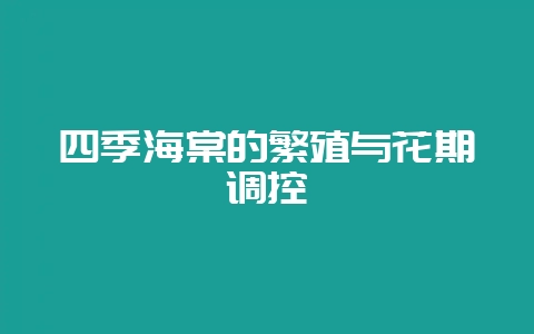 四季海棠的繁殖与花期调控-会东网