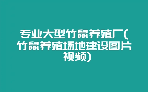 专业大型竹鼠养殖厂(竹鼠养殖场地建设图片 视频)-会东网