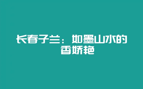 长春子兰：如墨山水的馨香娇艳-会东网