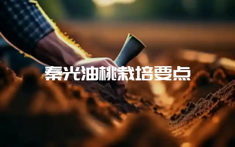 秦光油桃栽培要点-会东网