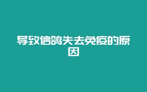 导致信鸽失去免疫的原因-会东网