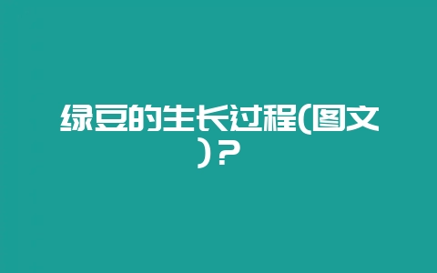 绿豆的生长过程(图文)？-会东网
