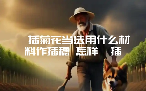 扦插菊花当选用什么材料作插穗 怎样扦插-会东网