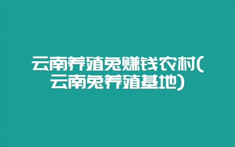 云南养殖兔赚钱农村(云南兔养殖基地)-会东网