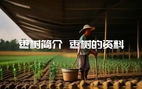 枣树简介 枣树的资料-会东网