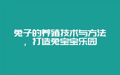兔子的养殖技术与方法，打造兔宝宝乐园-会东网