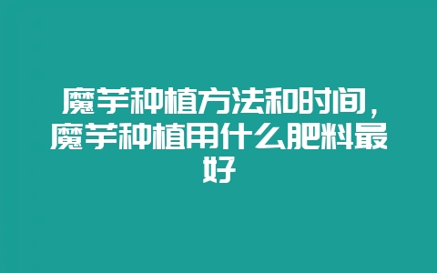 魔芋种植方法和时间,魔芋种植用什么肥料最好-会东网