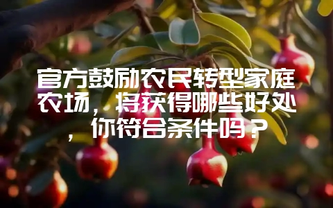 官方鼓励农民转型家庭农场，将获得哪些好处，你符合条件吗？-会东网