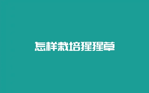 怎样栽培猩猩草-会东网