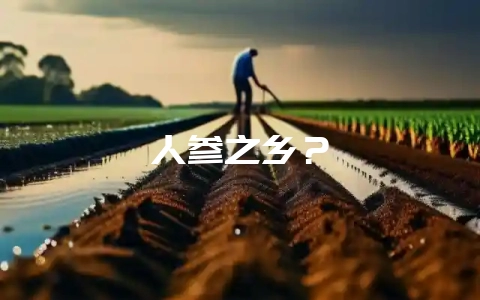 人参之乡?插图 人参之乡?插图