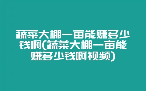 蔬菜大棚一亩能赚多少钱啊(蔬菜大棚一亩能赚多少钱啊视频)-会东网