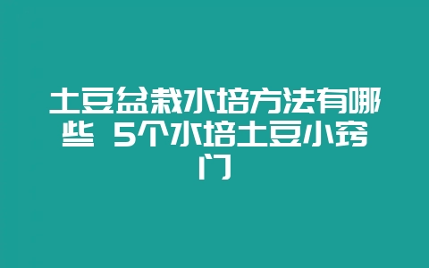 土豆盆栽水培方法有哪些 5个水培土豆小窍门-会东网