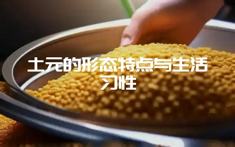 土元的形态特点与生活习性-会东网
