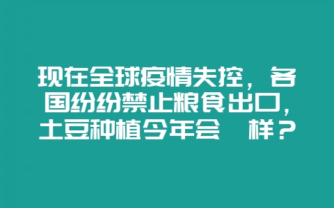 现在全球疫情失控,各国纷纷禁止粮食出口,土豆种植今年会咋样?插图 现在全球疫情失控,各国纷纷禁止粮食出口,土豆种植今年会咋样?插图