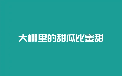 大棚里的甜瓜比蜜甜-会东网