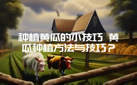 种植黄瓜的小技巧 黄瓜种植方法与技巧？-会东网