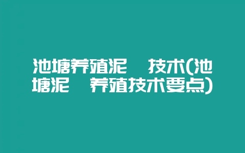 池塘养殖泥鳅技术(池塘泥鳅养殖技术要点)-会东网