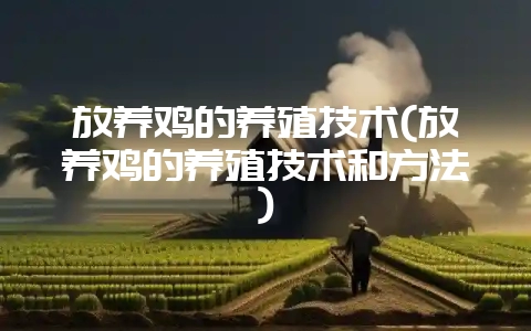 放养鸡的养殖技术(放养鸡的养殖技术和方法)-会东网